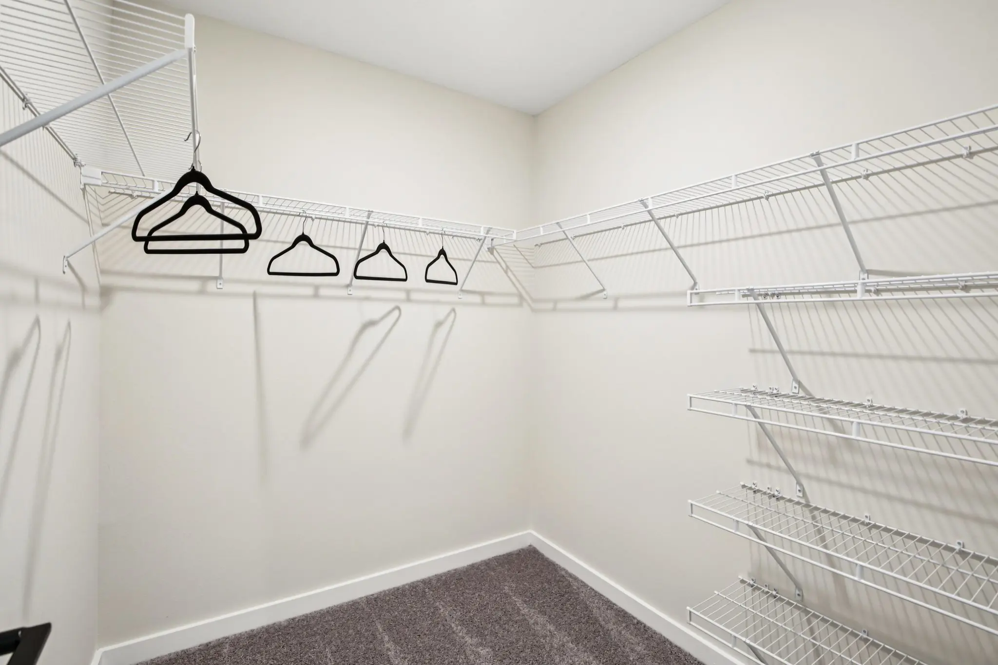 Photo 49 of 28 of Rising Tide Model